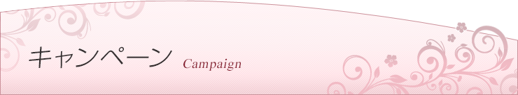 キャンペーン一覧です。